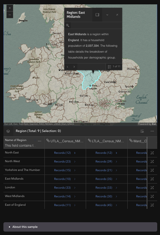 Using the FeatureTableWidget in GeoBlazor Pro