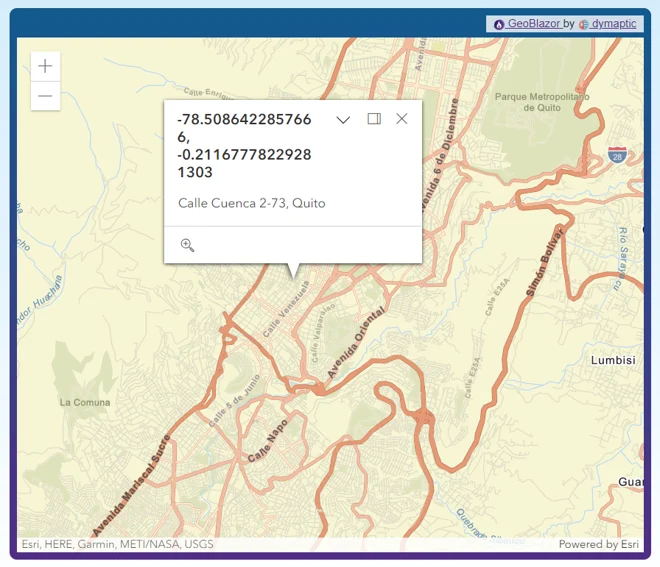 Reverse Geolocator displaying address information from map click